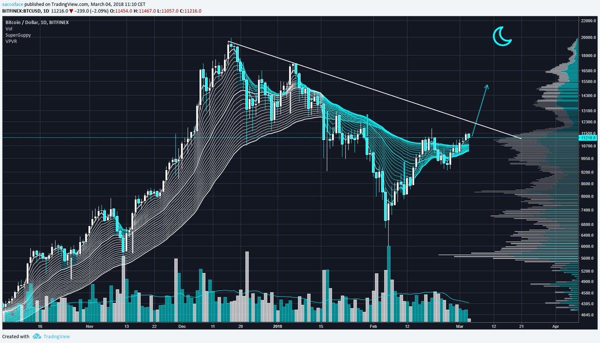 FiatCollapse's tweet photo. $BTC daily #SuperGuppy! #Bitcoin on the log scale poised to break the long term resistance around $11.8k. #BTC will be incredibly bullish if we can confirm above $12.2k! We will see widespread bullish indicator reversals. All eyes on bitcoin for March 4-5th. 👨🚀 #BullMarch https://t.co/ClVrz6w9YY