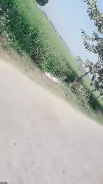 Somvir Sharma’s video is on FIREEE! Watch now!>> hypstar.com/share/video/65…