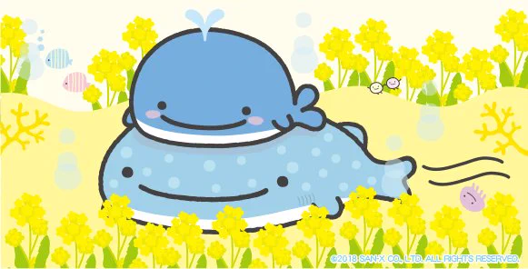 こくじらと一緒に菜の花畑のお花見ツアー♪
じんべえさんの情報はこちらから→https://t.co/CjdJP5izui #じんべえさん #こくじら #深海 #海 #花 