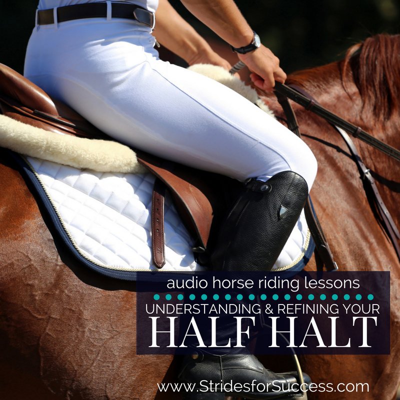 LornaLeeson's tweet photo. Hands up if your half halt is "work in progress"? How much, how long, when and where... A lot of questions for something that last a split second! Free training for you on the #HalfHalt #Equestrian #horseriding https://t.co/DZwtkeXrJq https://t.co/XhVqOV4oYV