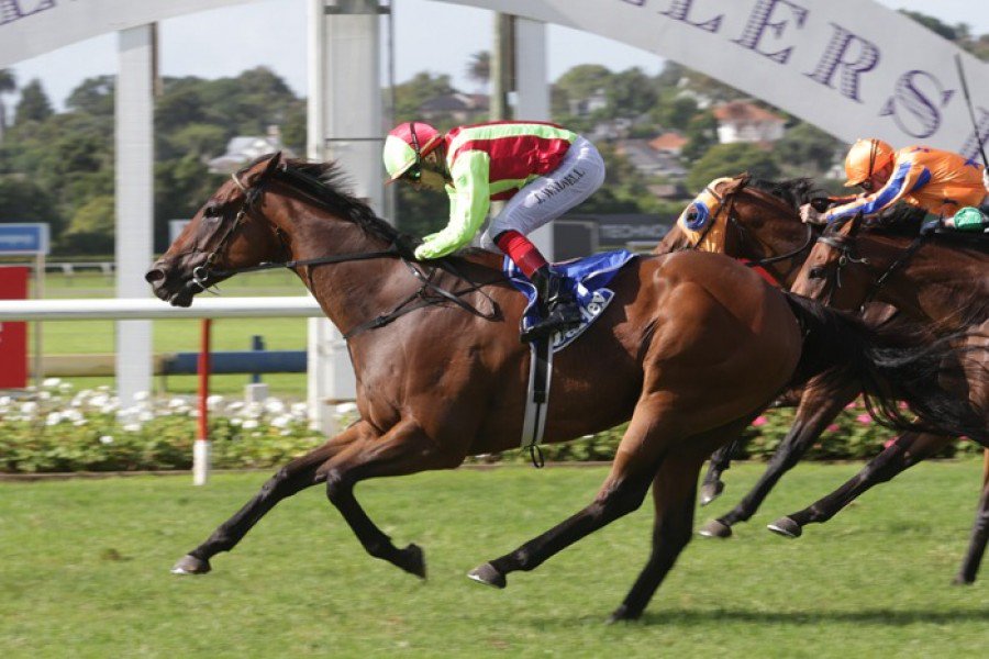 WestburyStud's tweet photo. Back to back Group wins for talented sprinter Julius (Swiss Ace) after he won the @DarleyStallions Plate over 1200m & stopped the clock at a very smart 1:08.32 #gobigboy #veryquick https://t.co/mMjoJ2zbj8