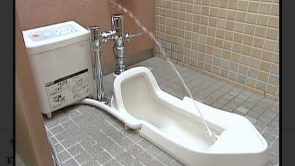 春風ミソラ on Twitter "会社の上司が「トイレが汚い民宿は絶対に泊まりたくない」って言うんですよ。『今時