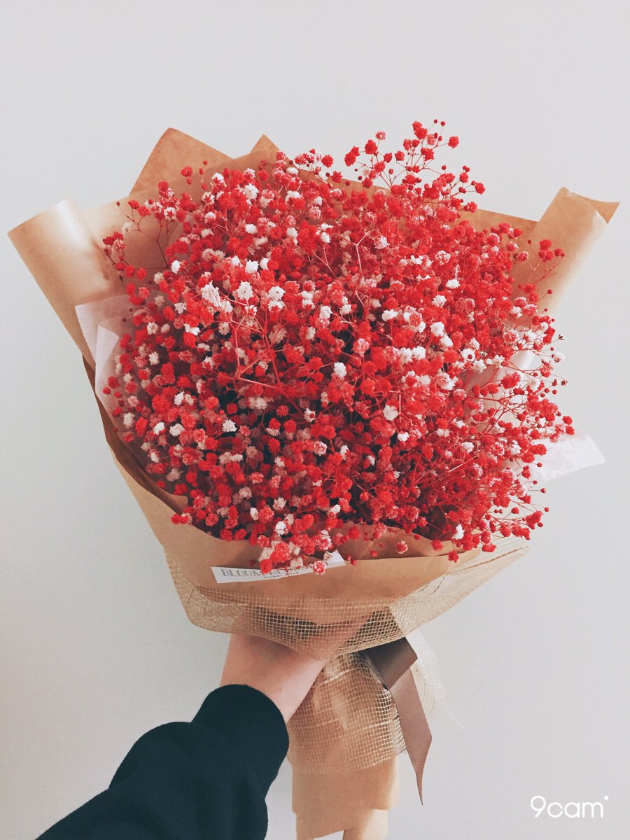 9cam_official's tweet photo. この花を君に捧げる。💐
📷by kmj4865 with 9cam
9cam 試しにいく: https://t.co/9vQF9G3miS .
#写真好きな人と繋がりたい
#ファインダー越しの私の世界
#写真好きな人と繋がりたい
#9cam #9edit #花 #フィルタ #きれい https://t.co/qXiLcpM6AI