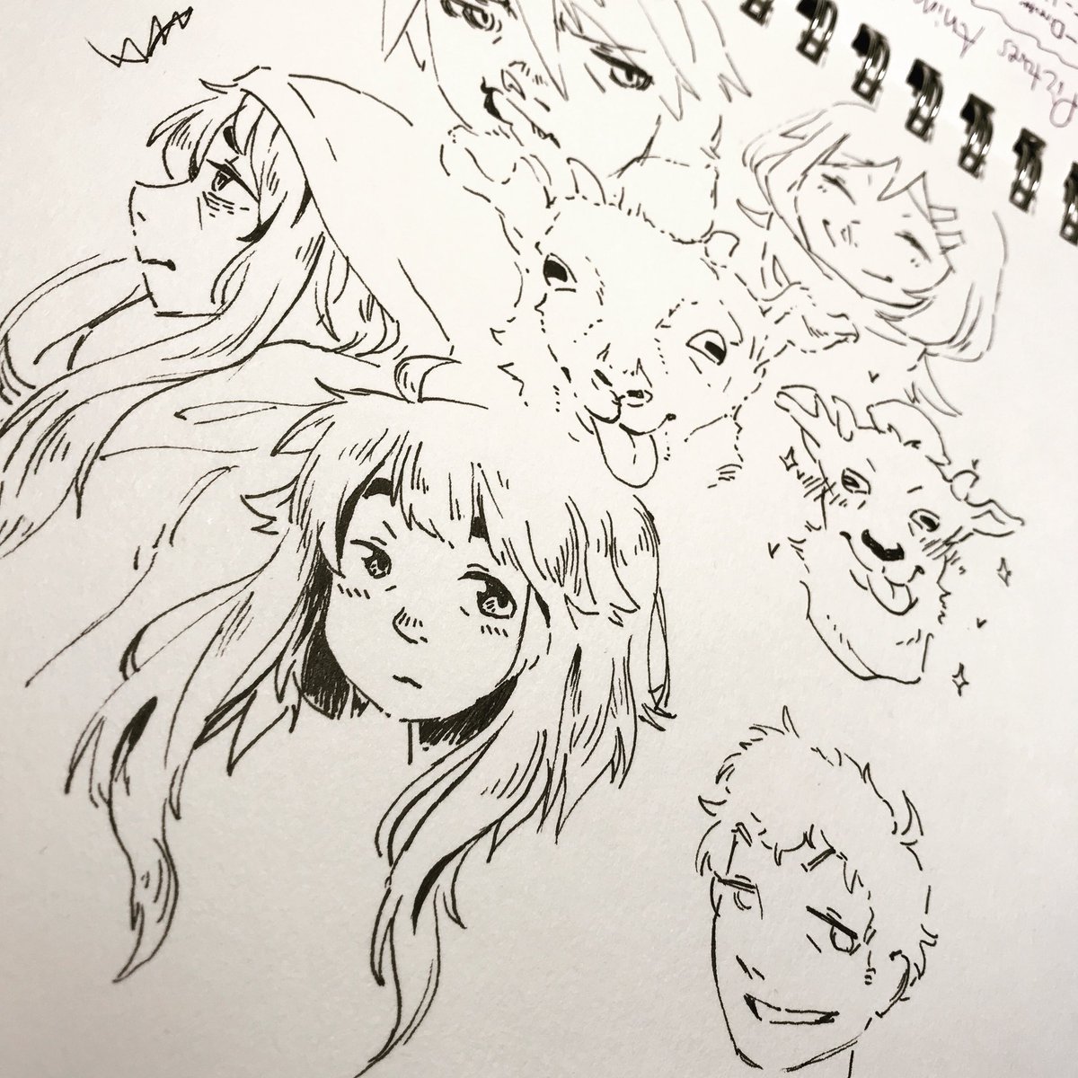 Shannon Munoz On Twitter Some Trashy Doodles From Last Night S