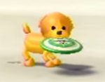 i fucking love you, wii fit dog. i love you so much