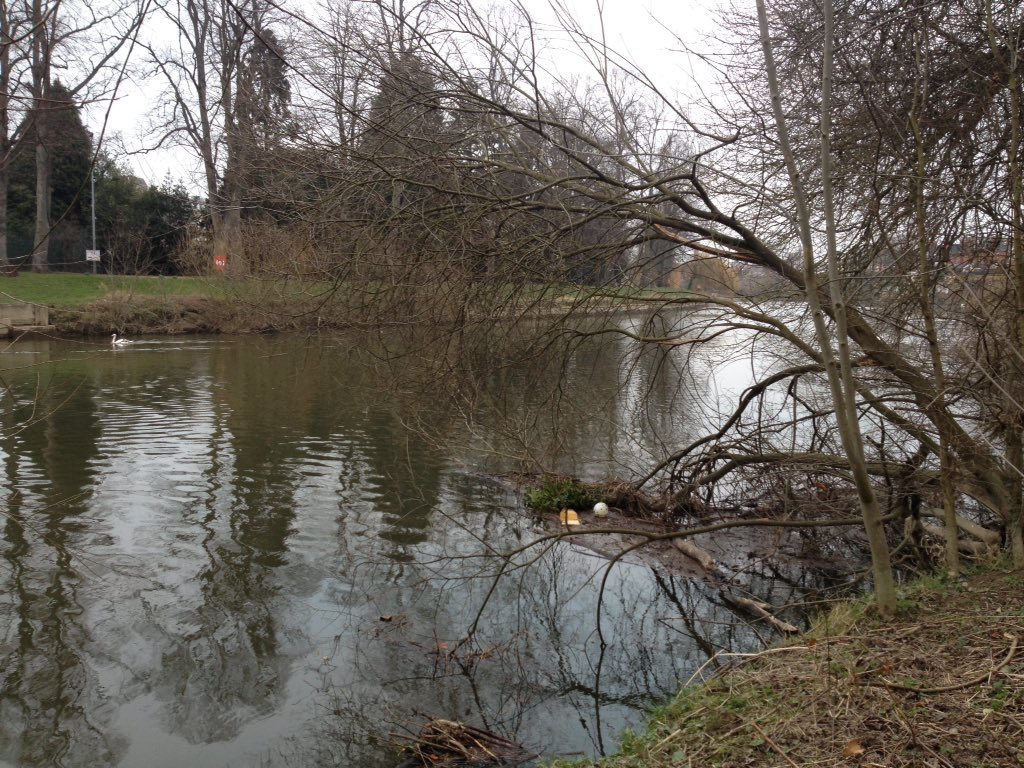 kimberleyp01's tweet photo. @Lostfootballs just out of reach of the banks of the Severn in Shrewsbury. Chip box for company https://t.co/MXUei6kOP5