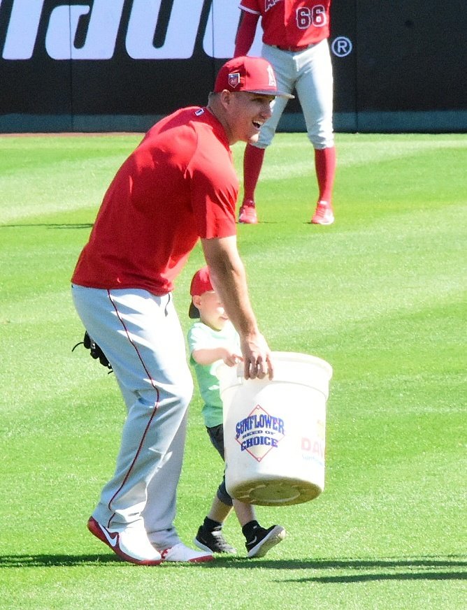MeisyuSuzuki's tweet photo. 球団のお偉いさんのお子様とマイク・トラウト選手。3/3/2018 
Tempe Diablo Stadium
Anglesの中田翔さん的な？
#MikeTrout 
#LAASpring #GoAngles #angles #losangelesangles #shohei #laa #laangles #Trout https://t.co/Pca2m5qFMn