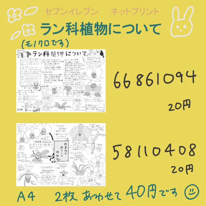 ネットプリントを登録しました!ラン科植物についてまとめたものです。3月11日まで、セブンイレブンさんで印刷できます! ちゃんと読めるのですが、少し端の字が切れしまっています...今後気をつけます... 