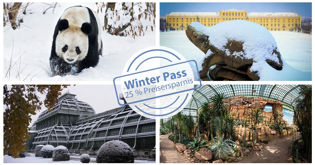 schonbrunn's tweet photo. #Countdown: Wer noch in den Genuss unseres #WinterPass kommen möchte, hat bis 14.03 noch die Gelegenheit 4 Attraktionen zu seinem sensationell günstigen Preis zu besuchen! #schoenbrunn #tiergarten #palmenhaus #wüstenhaus #sensationspreis https://t.co/Jkn0MZhddN
©SKB/Zupanc/RDC-7 https://t.co/bOOHnfeUm1