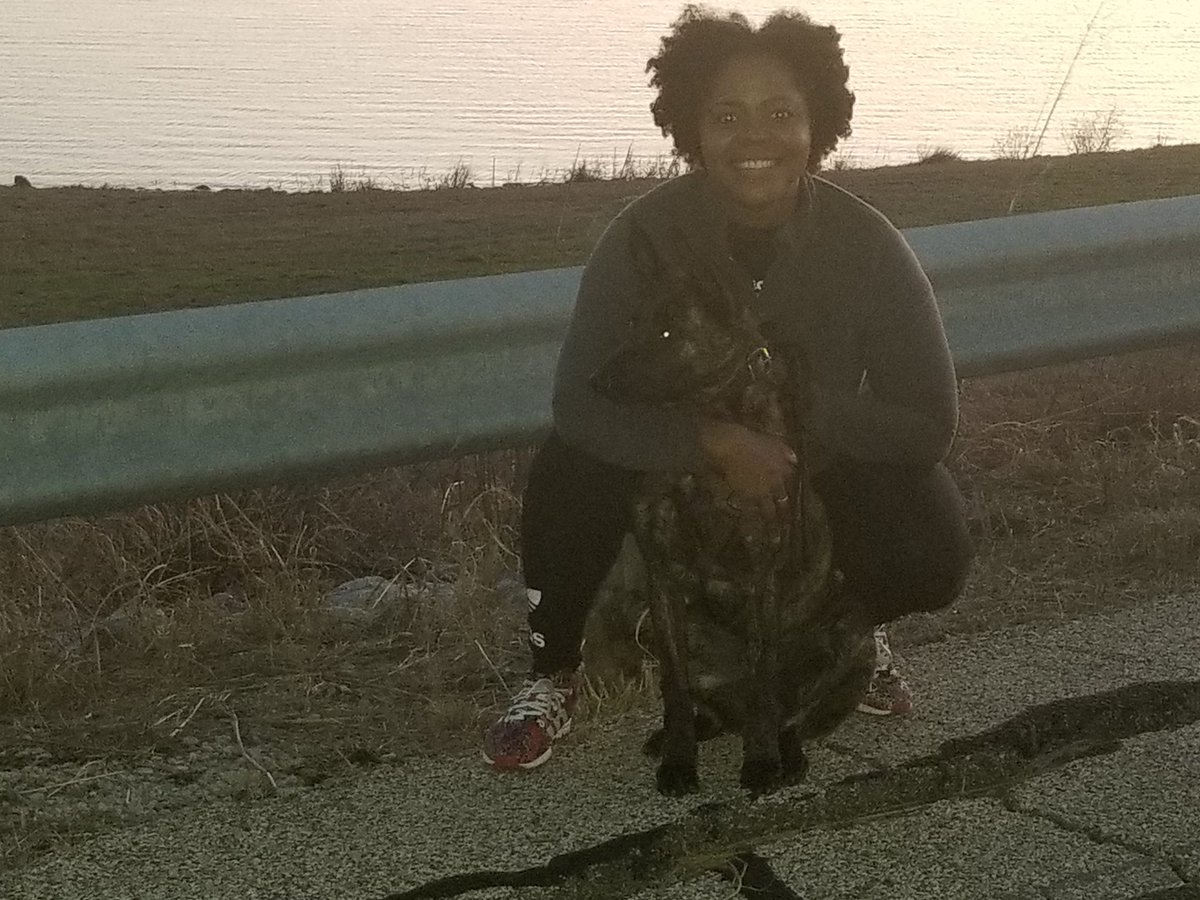 Pixiecutfash's tweet photo. Sunday Funday with our puppy. #dutchshepherd #6MonthsOld #JoePoolLake https://t.co/K6zTWYEZYc