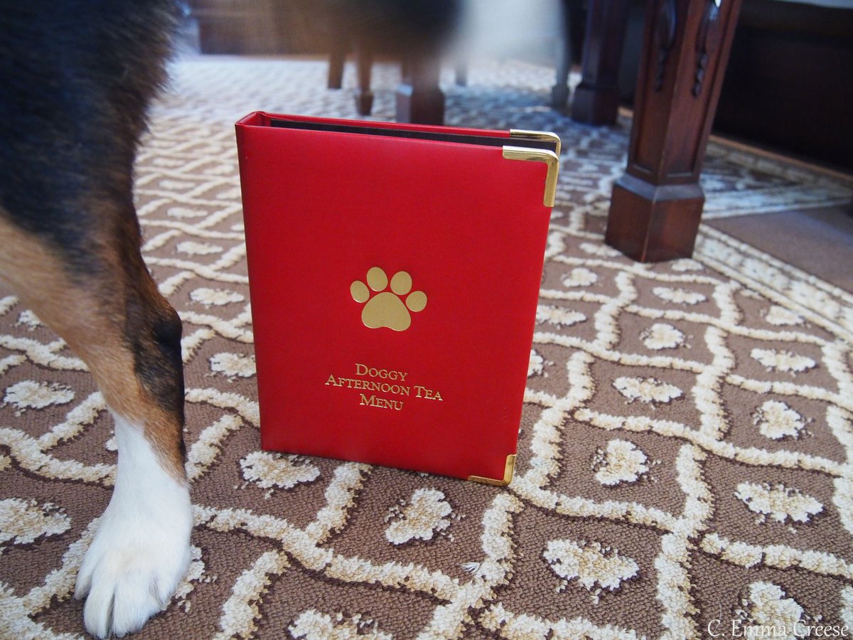LondonKiwiEmma's tweet image. {Archive} A pawfectly luxurious doggie afternoon tea @Egerton_Hotel - the Adventures of a London Kiwi buff.ly/2t43SIa #AfternoonTea #DogsofInstagram #Knightsbridge