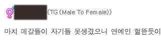 페미니즘에 대한 mtf 트젠 댓글들 "한국식 성평등", "마치 메갈들이 자기들 못생겼으니"