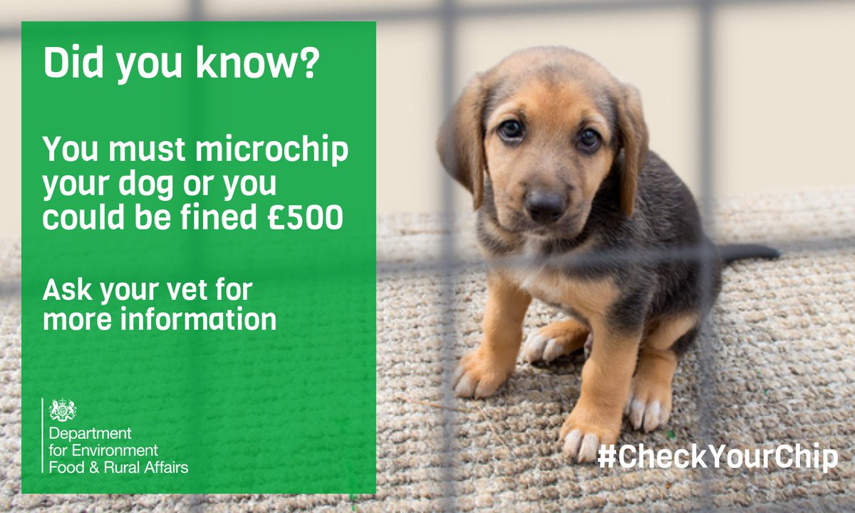 DefraGovUK's tweet image. Avoid a £500 fine – make sure your dog is microchipped and your details are up to date #CheckYourChip gov.uk/get-your-dog-m…