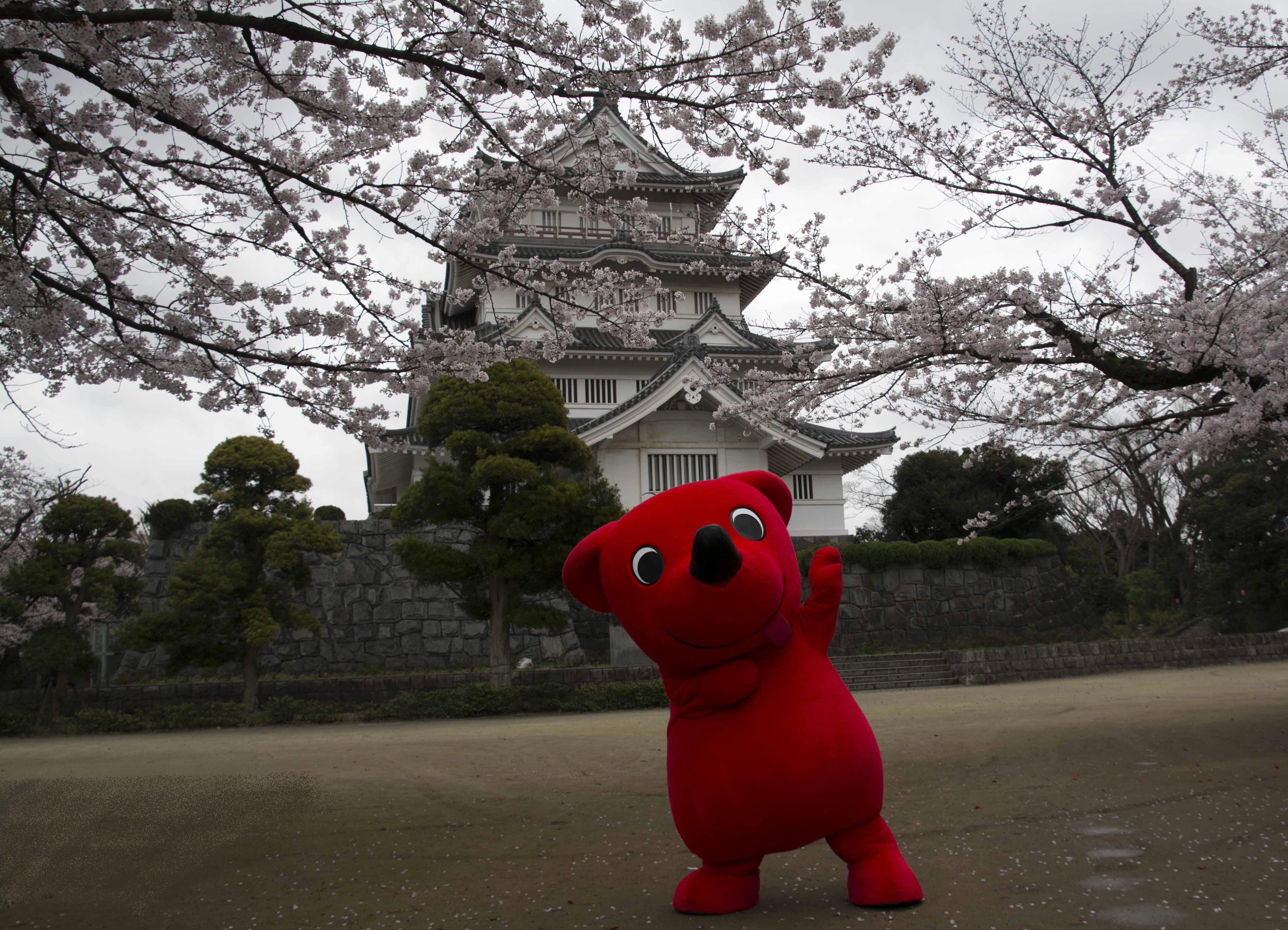 チーバくん Twitterren もうすぐ 桜 の季節だね 千葉市の 亥鼻公園 では 3月31日から4月8日まで 千葉城 さくら祭り が開催されるよ 約100本のソメイヨシノが咲いて 夜になると 千葉城 のライトアップされてきれいなんだよね みんなもお花見を楽しんでね