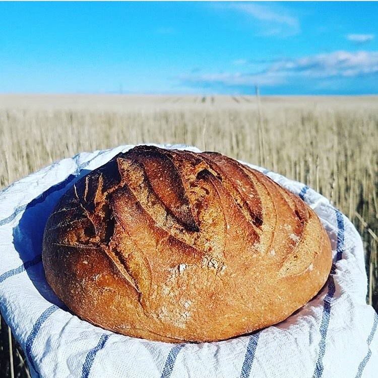 nxtlvlpdx's tweet photo. Bread for Empty Bowls for Self-Care by @1000bitesofbread #pdxasc https://t.co/PfTGqEX1KD