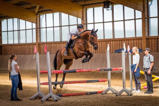 caplustaxrelief's tweet photo. Are you in the Equine Business? At Caplus we can help you Maximise your Profits by reducing your Tax Liabilities and generating Rebates where possible. For more details check our website   #caplus #vet #equine #tax  https://t.co/LbhQSRqWaP https://t.co/xFdFwZQWc3