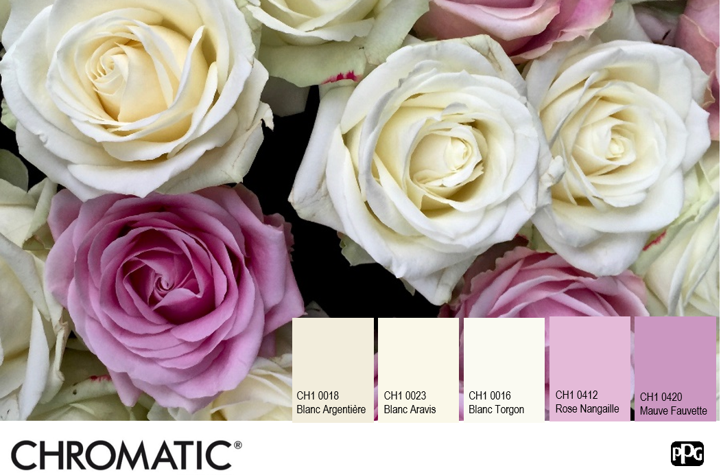 chromaticstore's tweet photo. Avec ce bouquet de roses, l'Equipe CHROMATIC® souhaite une belle fête à toutes les grands-mères ! https://t.co/7d2mRvSqdE