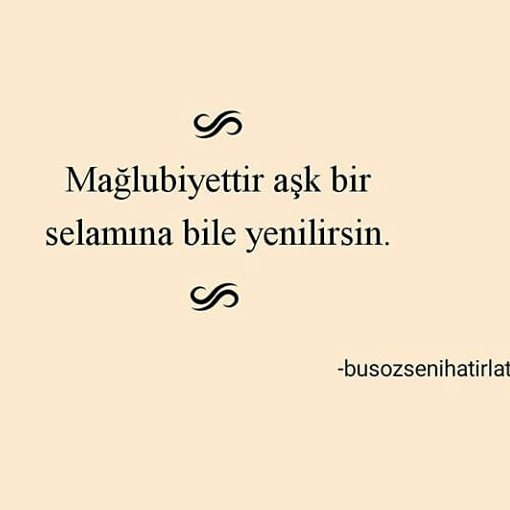 Şehri Koral (@sehrikoral) on Twitter photo 