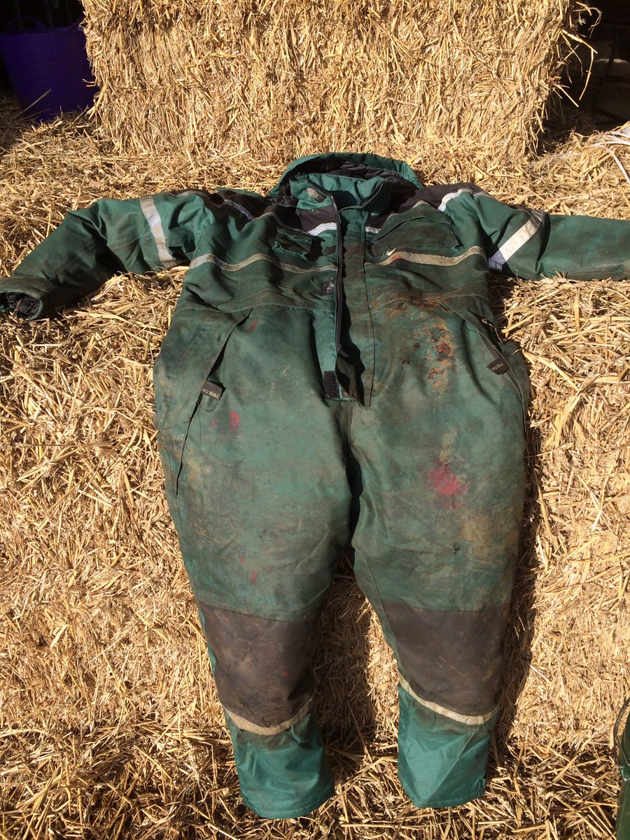 meandeweblog's tweet image. The sun is out!!! Time to turn out and relieve the pressure on the sheds. I've even taken my suit off - about time as it could almost walk on its own... time for a wash! #stinking #Lambing18 #thatsbetter