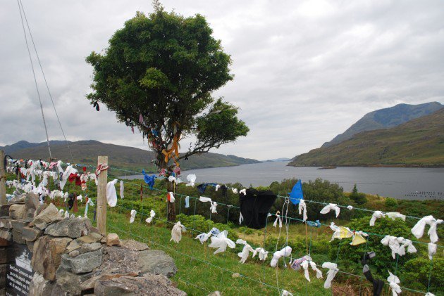 The  #Fairy  #Tree,  #Killary harbour/fjord,  #Connemara. This tree is littered with rags. Legend has it that people tie ribbons around the branches in the hope that  #fairies will take the ribbons away & with them the troubles of the people who left them there!  #Ireland  #Irishtrees