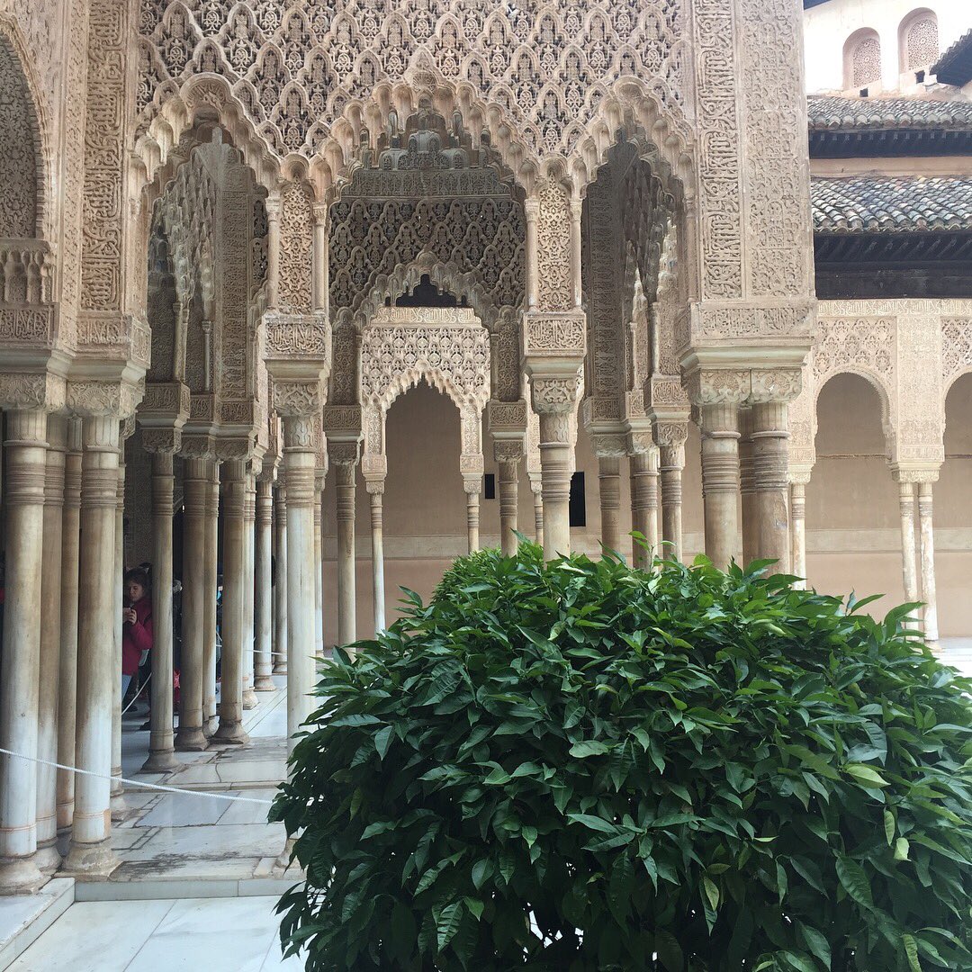 nick0elias's tweet photo. Great finish to an amazing week at the the Alhambra with #londonon_ we have much to collate from our experience at El Ejido. BIG thanks to @jbarrsan and all who met with us! @elejido @Londonon_ @studio_haptic @GortScott @CarlCTA @CoffeyArch @MaeArchitects @dugganmorrisarc https://t.co/HGg36Fo857