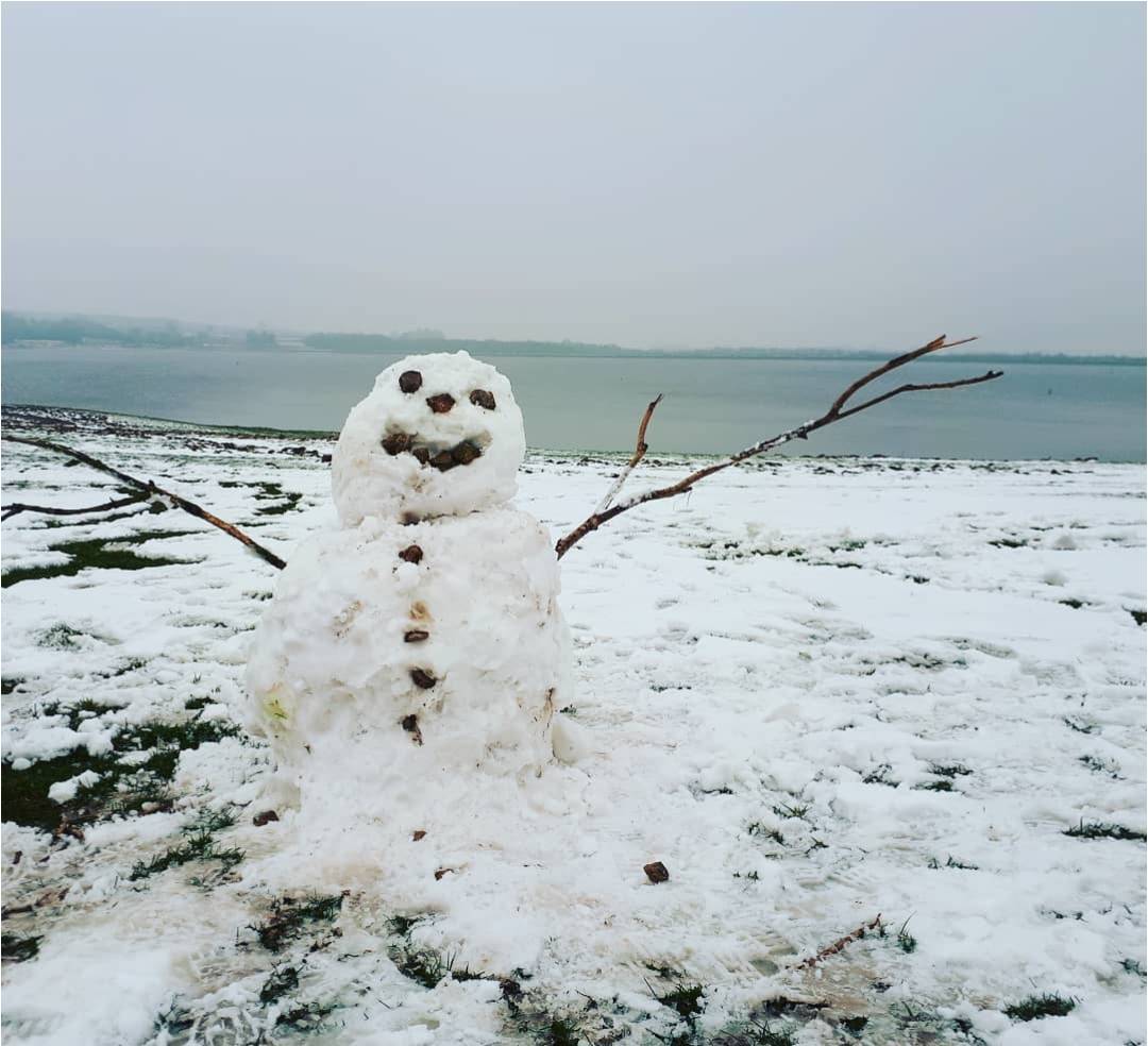 STWForemark's tweet photo. Some fine snowmen visited Foremark yesterday!
#snow #snowman #snowmen #foremark #stwforemark #derbyshire #severntrent https://t.co/zVsPVBNSz4