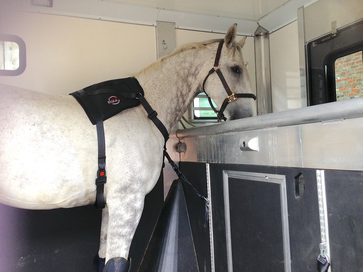 Equi_TravelSafe's tweet photo. EQUI Travel Safe. An effective aid to help prevent horses from rearing over breast bars or on to lockers in the horse box https://t.co/7fBFzPT27J