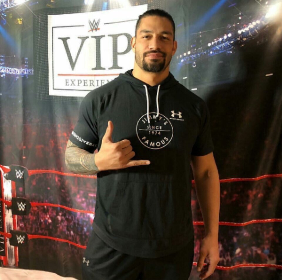 JimmysSeafood's tweet photo. Check out The Big Dog rocking our #Born2GiveBack hoodie last night at #WWEChicago! On to #Wrestlemania! https://t.co/drYmQ6MHyR