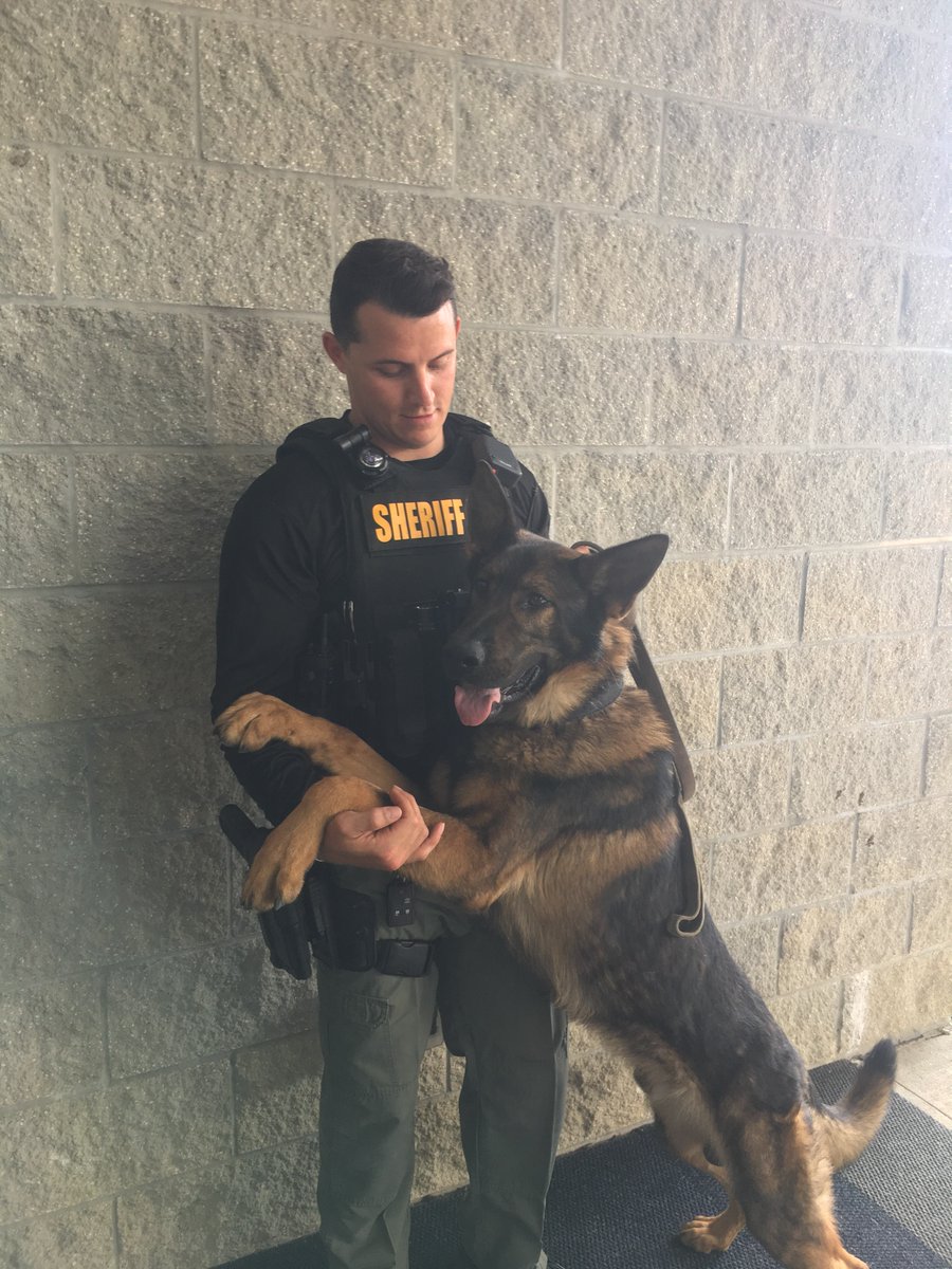 Deputy Pini and K9 Yogi are sending everyone virtual hugs this morning!