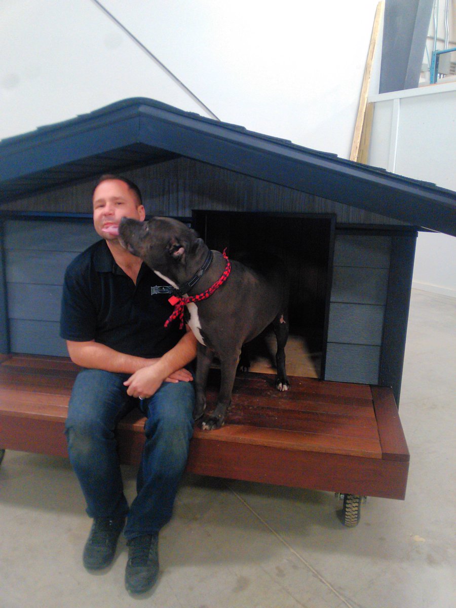 AboveTheGrade2's tweet photo. Levi had a rough beginning . He was dragged by a driver behind his pick up for 8-10 blocks . After lots of love from everyone at the SPCA . He over come everything .He was very scared at the time. With a bit of time he is amazing . Thanks to everyone https://t.co/K5fDGKPmCA