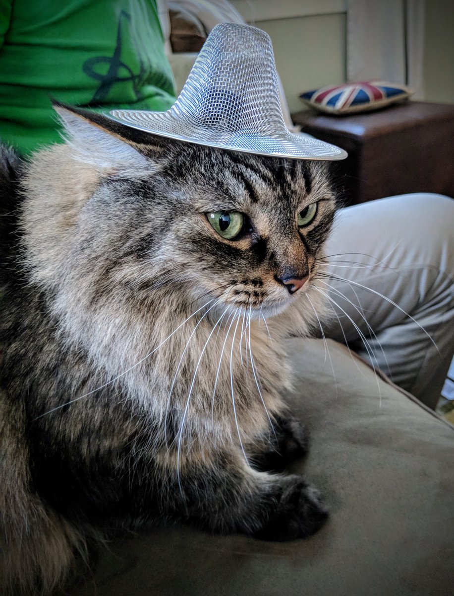 dansut's tweet photo. @SwiftOnSecurity Concerned about cosmic Ray's. https://t.co/CCsuOC5ivA