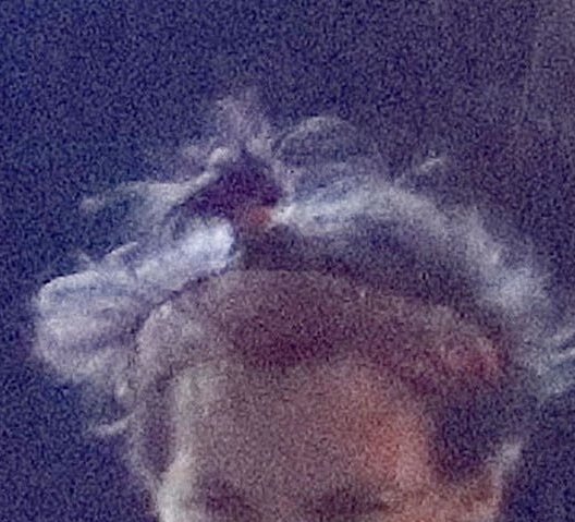 stylesbunupdate tweet picture