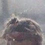 stylesbunupdate tweet picture