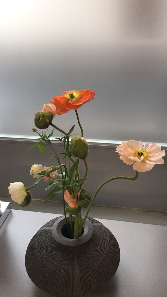 Re-seeing The always fun <a href="/jwanderson/">John Anderson</a> 🍩🍩🍩