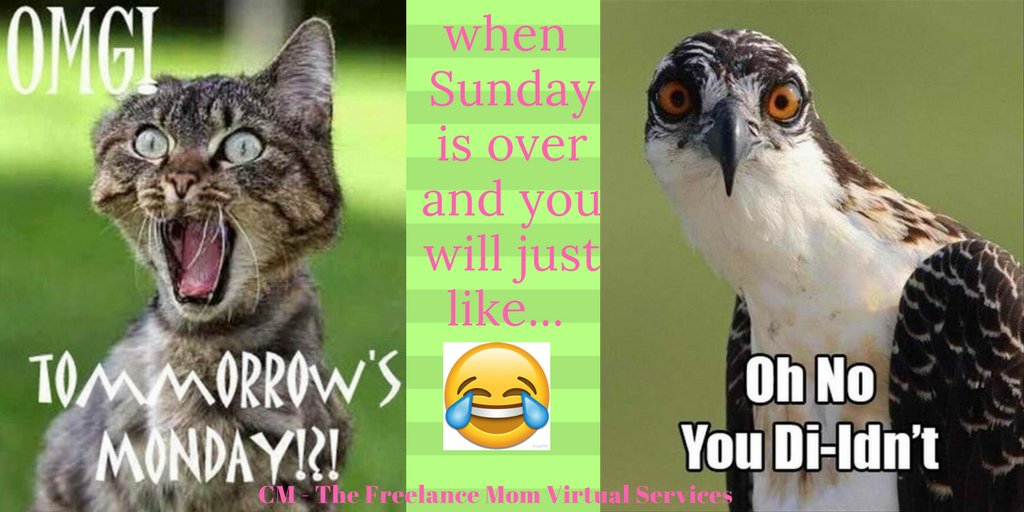 crysty_lyn's tweet photo. Still got an unfinish task? Keep calm ,let your Virtual Assistant do your task :) #freelance #workathomemom #virtualassistant #freelancemom #personalassistant #socialmediamanager #socialmediamarketing #digitalmarketing #virtualservices #findfreelances #Freelancer #onlineVA #WAHM https://t.co/xmteKyXaqT