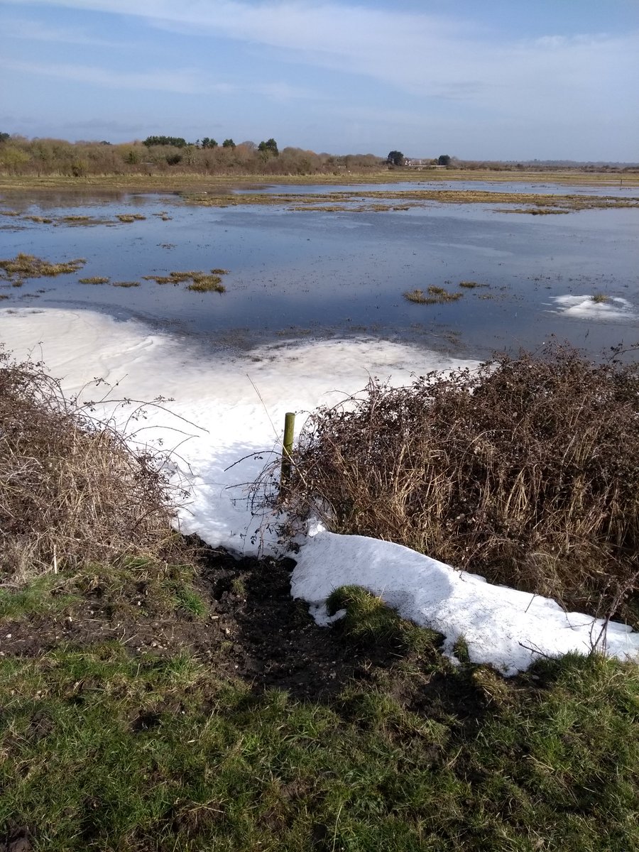 There's still some snow hanging on but it won't be burying the litter for long with that sun coming out! Joining @LymKeyRanger at Keyhaven for a #litterpick :) @KeepBritainTidy #GBSpringClean #litterfreecoastlines #beachclean