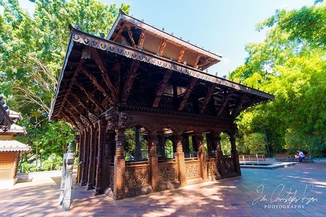 IanRyanNZ's tweet photo. "Peace"
The Nepalese Peace Pagoda on South Bank was comissioned and built for the Expo 88. It was hand carved by 160 craftsmen in the Kathmandu valley and took over 2 years to build.
.
.
Copyright Ian Ryan 2018. All rights reserved. https://t.co/Jshjo3AX5z https://t.co/gcjkeYnUuo