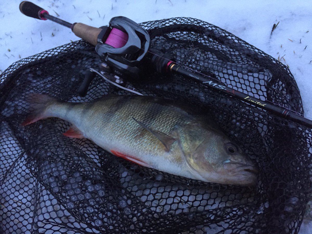 Snow perch #nevergiveup #bfs #jdm #majorcraft