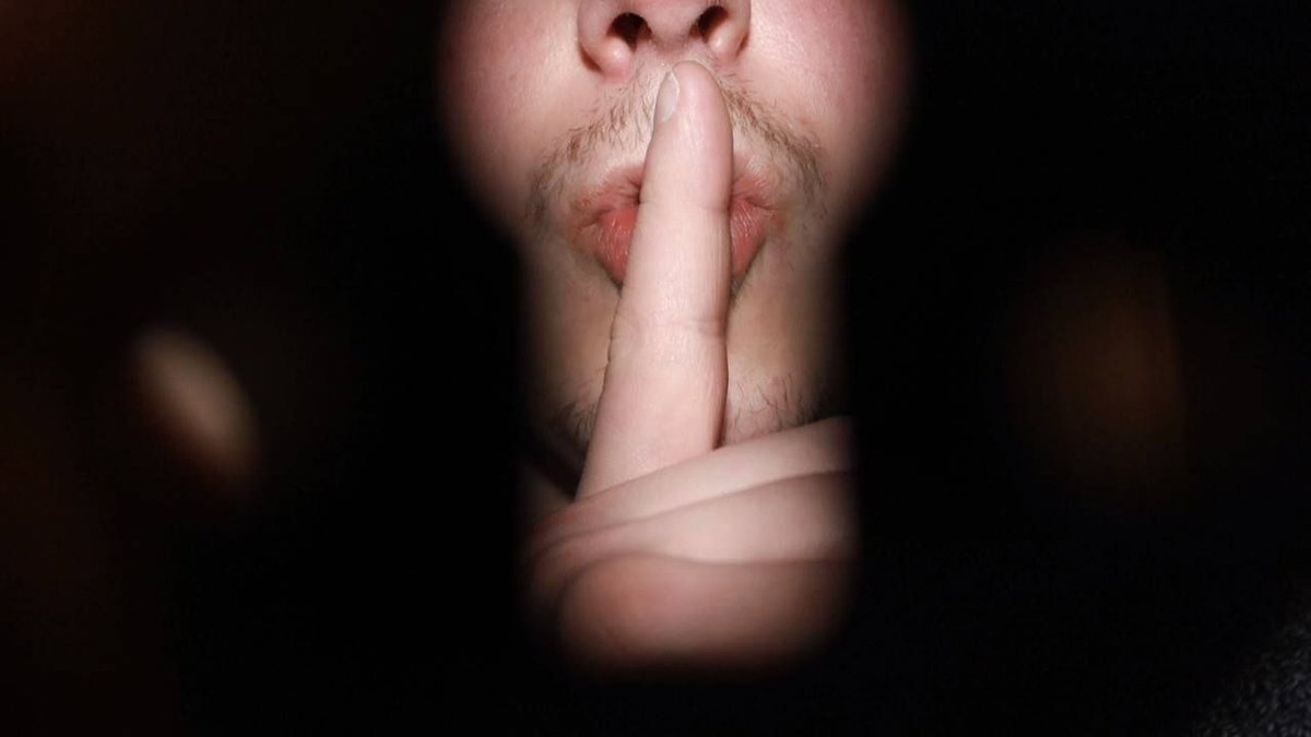 World Wide Narrative tweet media