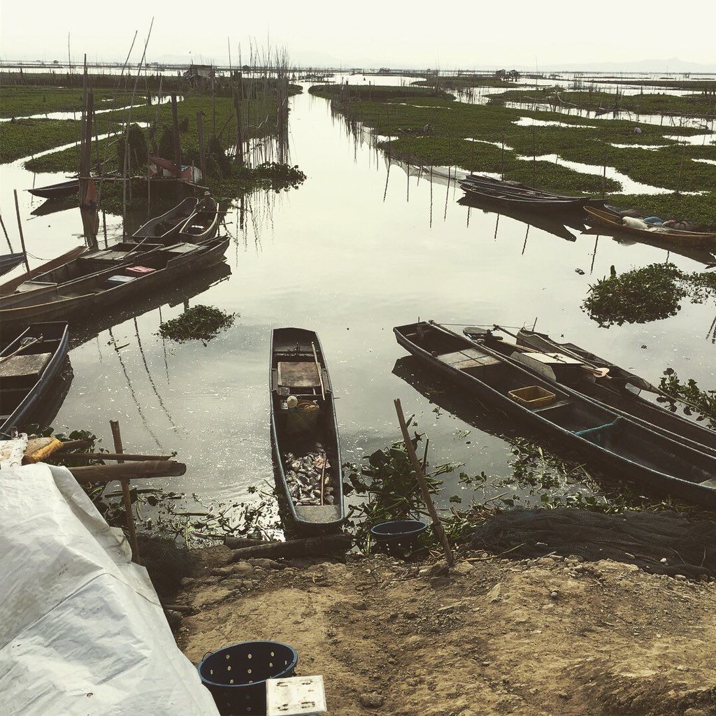TaggatInk's tweet photo. ~13KM (Carpa diem)~
#taggatink #CarpeDiem https://t.co/JbrhtTuyWz