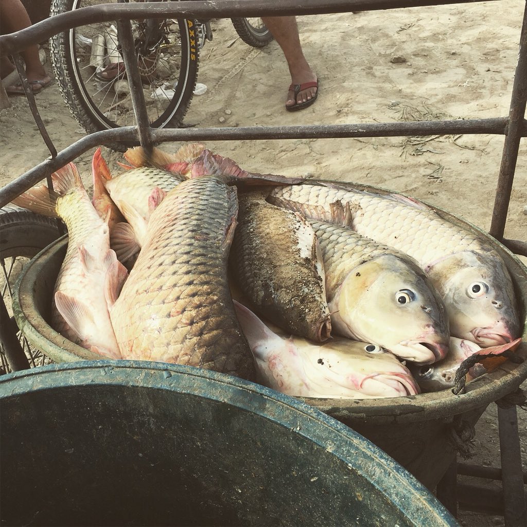TaggatInk's tweet photo. ~13KM (Carpa diem)~
#taggatink #CarpeDiem https://t.co/JbrhtTuyWz