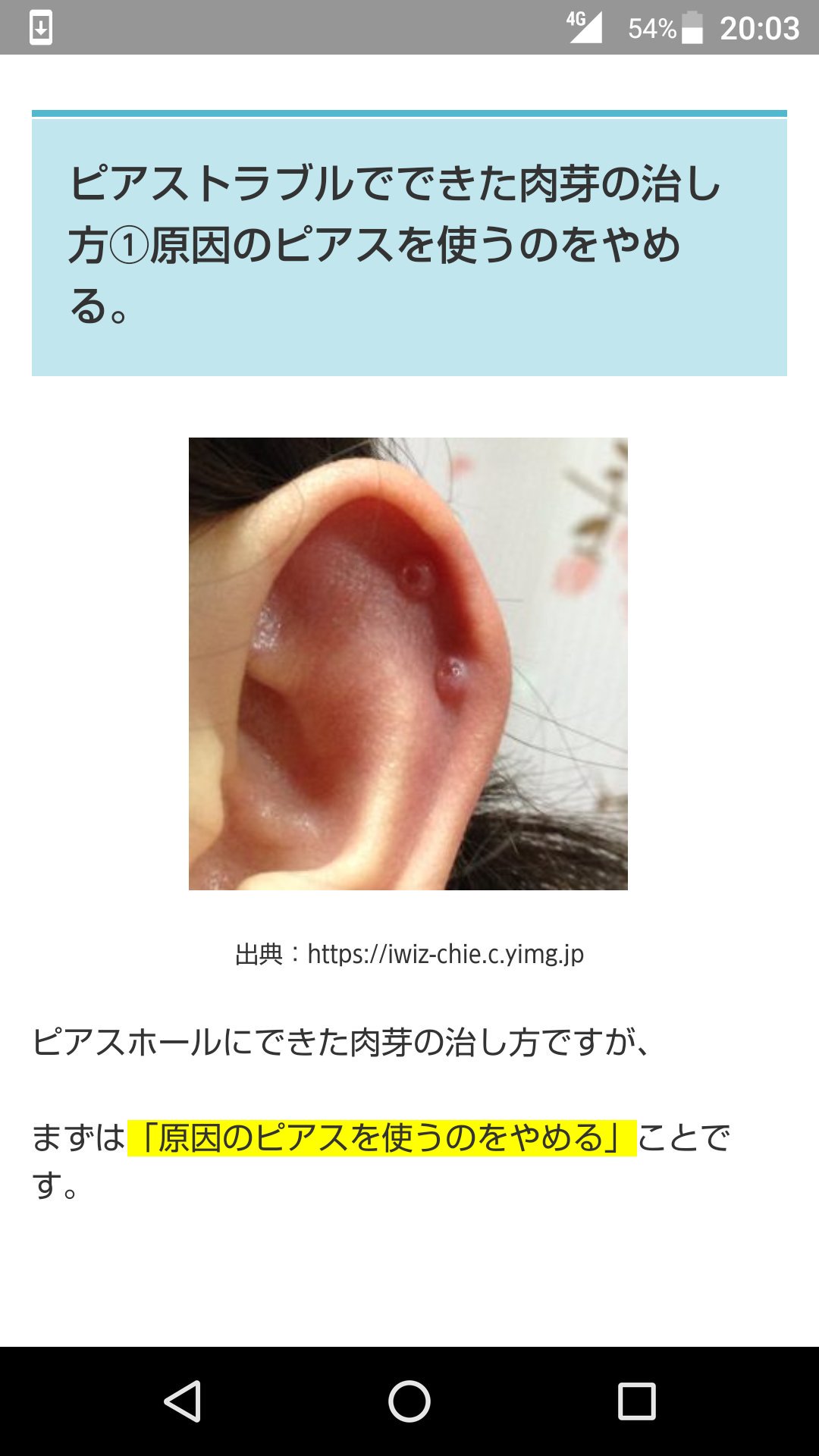 肉芽 Twitter Search Twitter