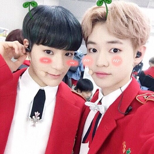 softlxe's tweet photo. ✩ ༘*ೄ         #NCT #NCT_DREAM
       #chenle #jeno
      #layout #soft #kpop #kpopedits #edit https://t.co/VQo6G7jf5A
