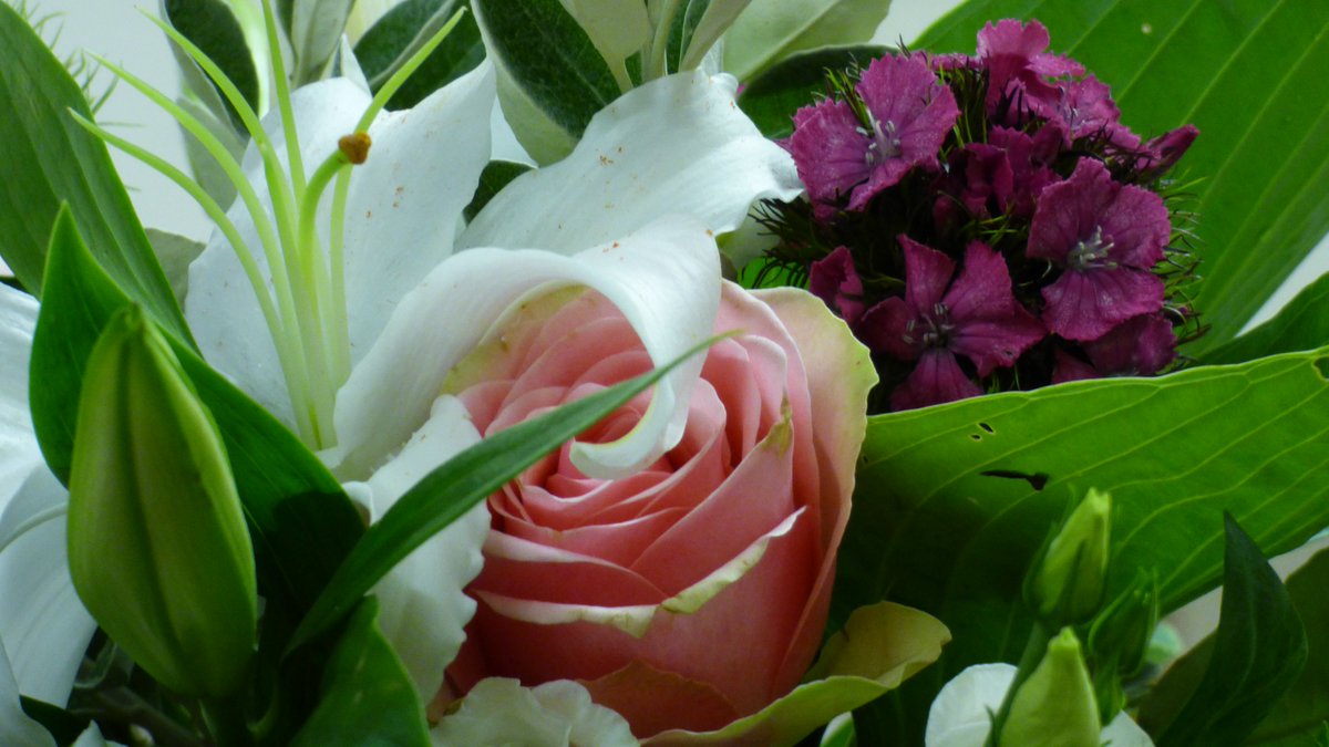 Morning our next meet is this Tue 6th Mar. Please come along relax &amp; watch, visitors are welcome &amp; you can pay on the door 7.30 Russell St. #StonyStratford #miltonkeynes #Nafas #flowerarranging