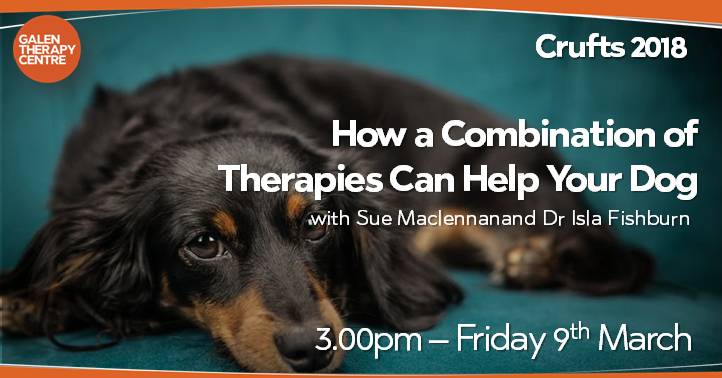 MoorlandCanines's tweet photo. #Crufts2018 on Friday the @GalenTherapyCentre is giving 6 talks in the Centre Suite; visit https://t.co/h9K2UE7cDd . 
We will also be in Hall 3 Stand 28a - come and find out how we can support your dog's muscular health x 
#galendogs 
#enrichingthelivesofdogs
#caninemuscletherapy https://t.co/EEW7y1YlXw