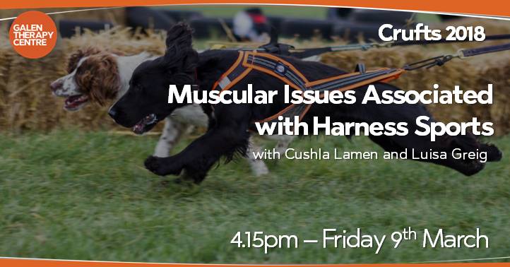 MoorlandCanines's tweet photo. #Crufts2018 on Friday the @GalenTherapyCentre is giving 6 talks in the Centre Suite; visit https://t.co/h9K2UE7cDd . 
We will also be in Hall 3 Stand 28a - come and find out how we can support your dog's muscular health x 
#galendogs 
#enrichingthelivesofdogs
#caninemuscletherapy https://t.co/aQSlQVSQeC