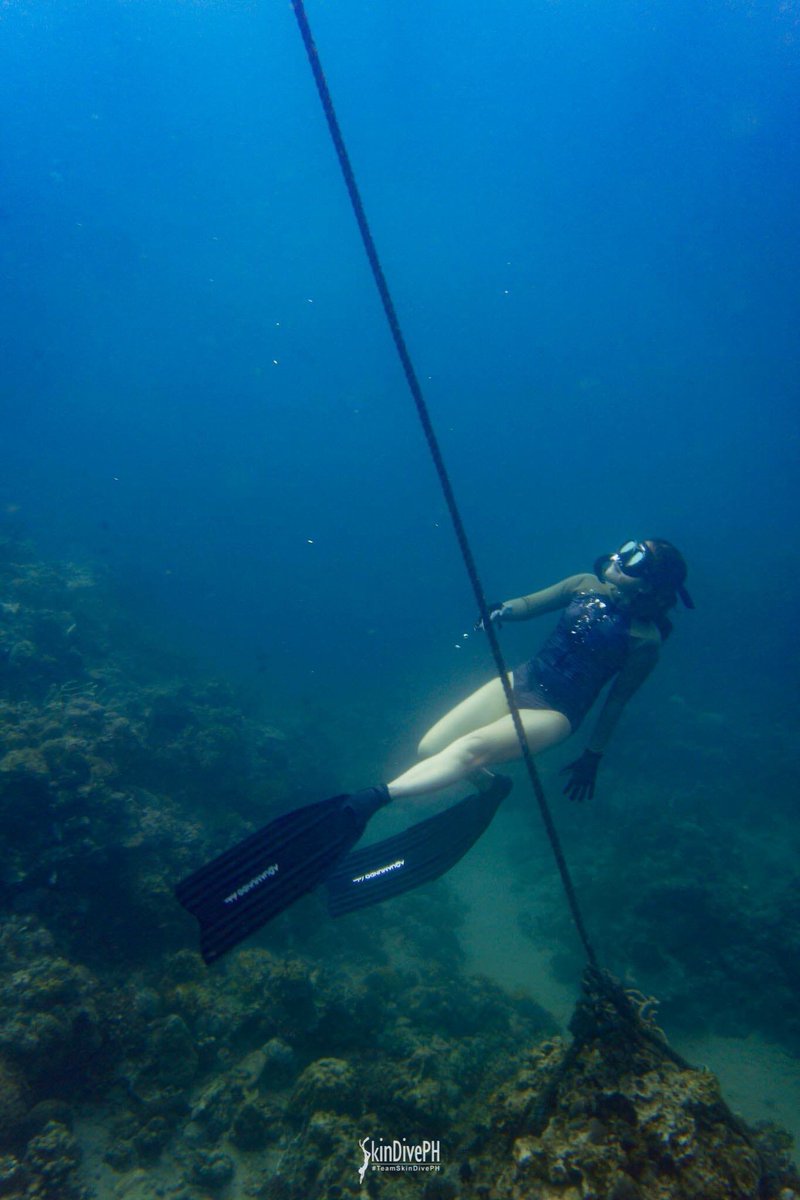 freeseatizen's tweet photo. Free SEAtizen Rosemarie during her 10m depth training. 👌🏻 This FS mermate is nailing it. ➰ 

📍 #Binukbok, #Bauan, #Batangas
📸 Skin Dive Ph

• Follow @freeseatizen on FB &amp; IG 

#Philippines #skindiving #freediving #skindive #freedive #FreedivePh  #aquaholics #thalassophile https://t.co/ff0qIAzecP