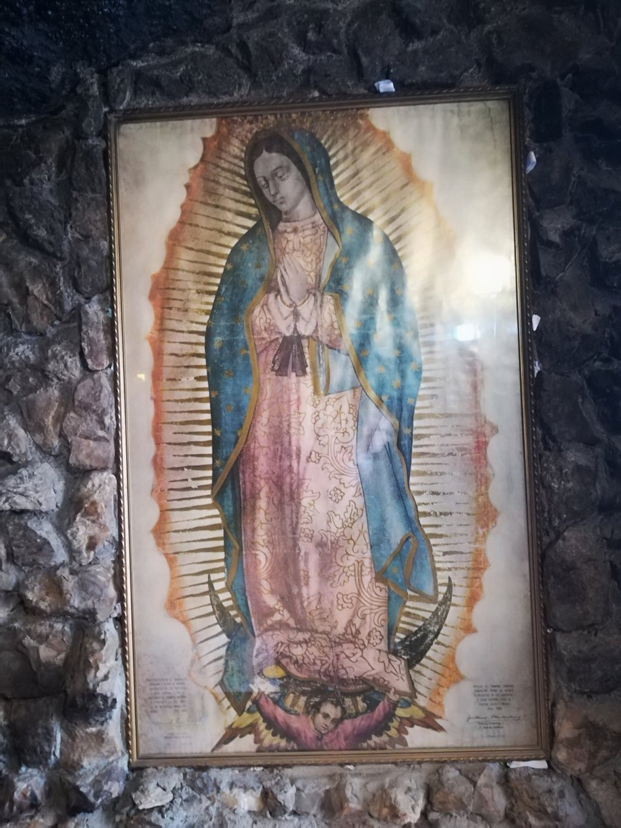 AldinaConsolini's tweet photo. Ci aiuti la Vergine Maria ,in questa quaresima,a riconoscere Dio togliendo dal nostro cuore ogni idolo che ci allontana da Lui
@PapaParole #anglus
#domenica4marzo https://t.co/R8W0vaoNZ9