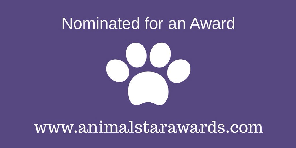 animalstaruk's tweet photo. @SageWonderland Congratulations Alyson your wonderful dog Sage has been nominated for an Animal Star Award in our Best Remembered Pet more details to follow #ASA https://t.co/LHnTCY1xRO