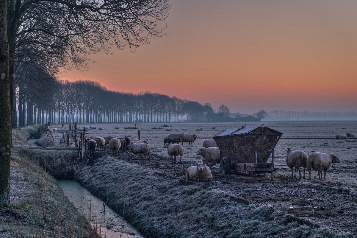 Het was een verrassende en tevens korte maar koude winter eind februari 2018.We zeggen koning winter gedag en houden er warme herinneringen aan over,het Hazepad bij Gellicum in de Betuwe 18 febr j.l.